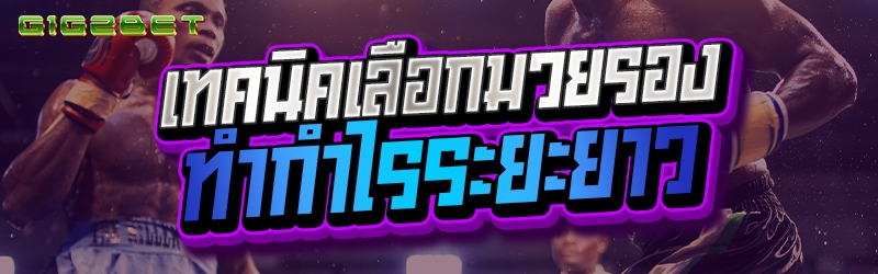 เทคนิคเลือกมวยรอง ทำกำไรระยะยาว