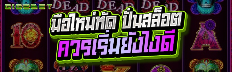 มือใหม่หัด ปั่นสล็อต ควรเริ่มยังไงดี