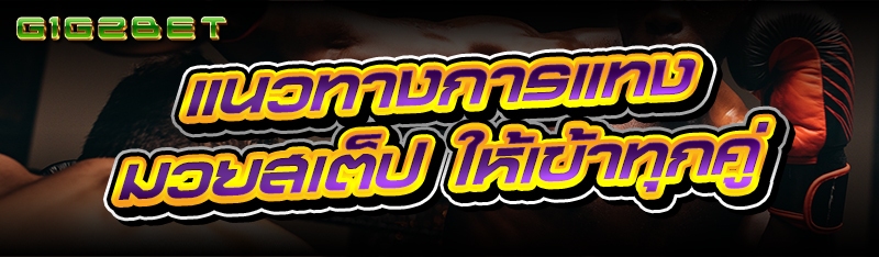 แนวทางการแทง มวยสเต็ป ให้เข้าทุกคู่