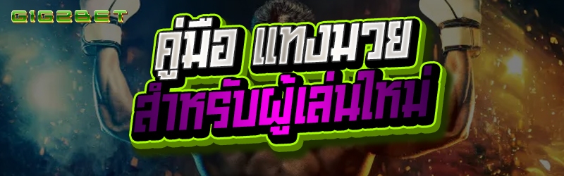 คู่มือ แทงมวย สำหรับผู้เล่นใหม่