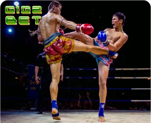 G2G1BET sport muaythai
